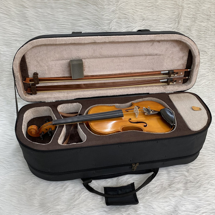هاردکیس ویولن مدل دوقلو